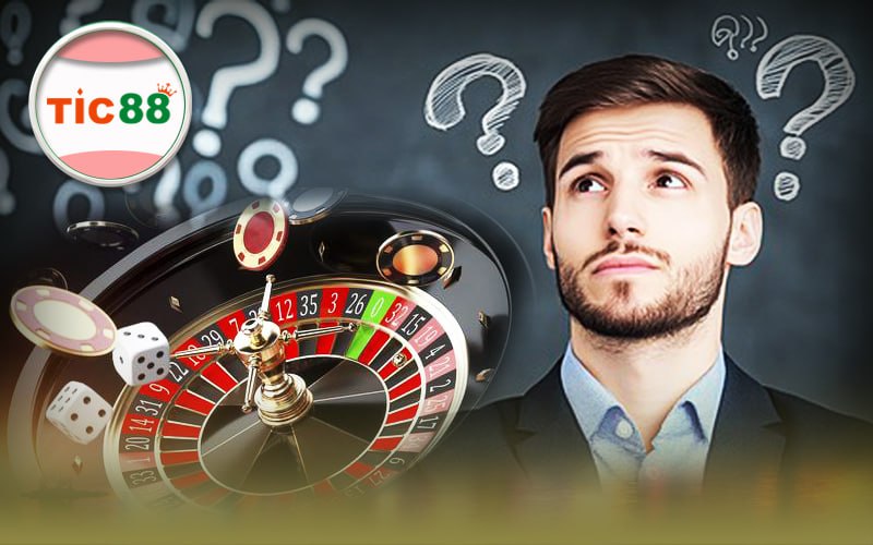 CEO nhà cái Tic88 - Hành trình từ tài năng đến đỉnh cao
